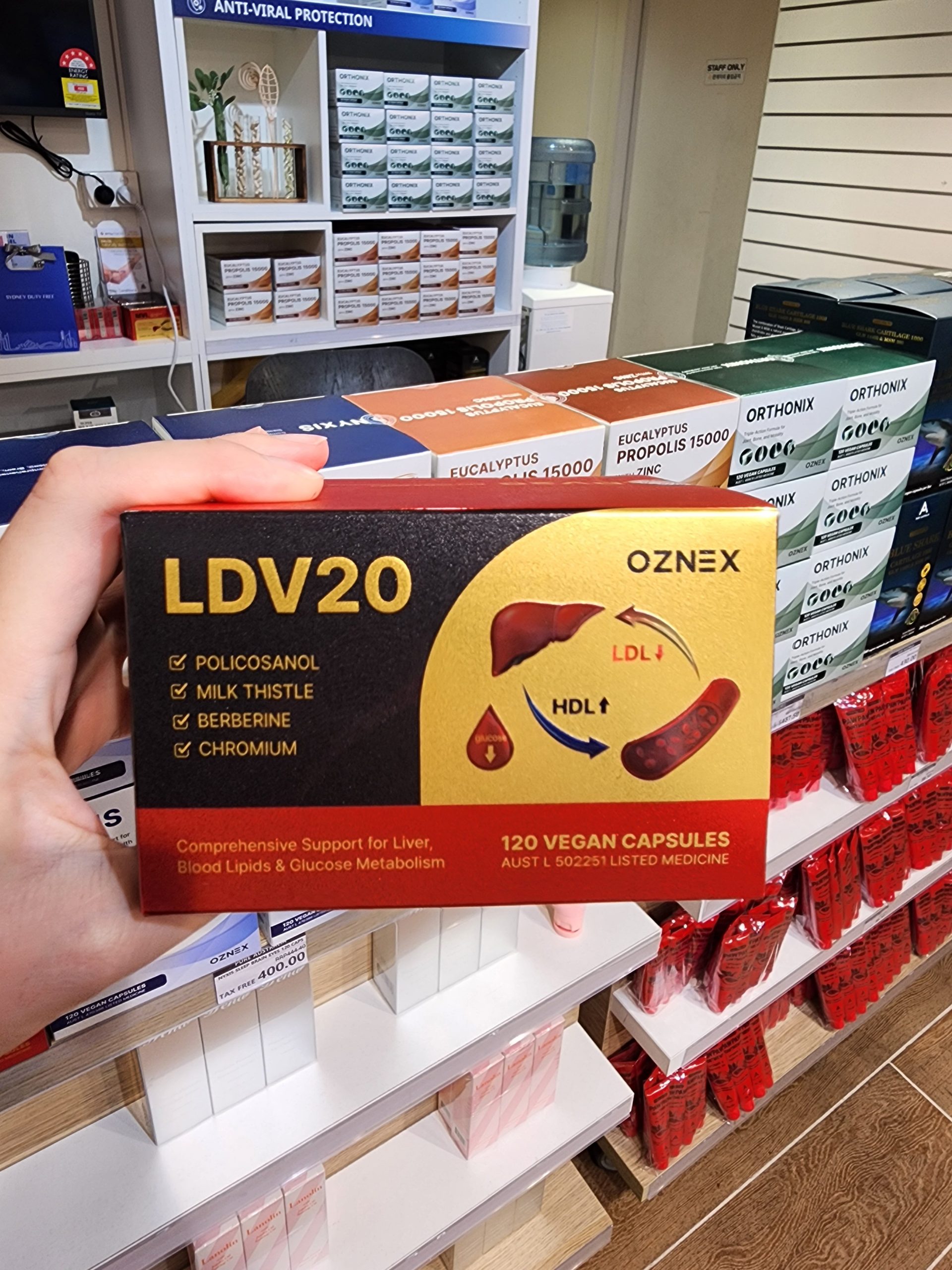 LDV20 부모님 선물