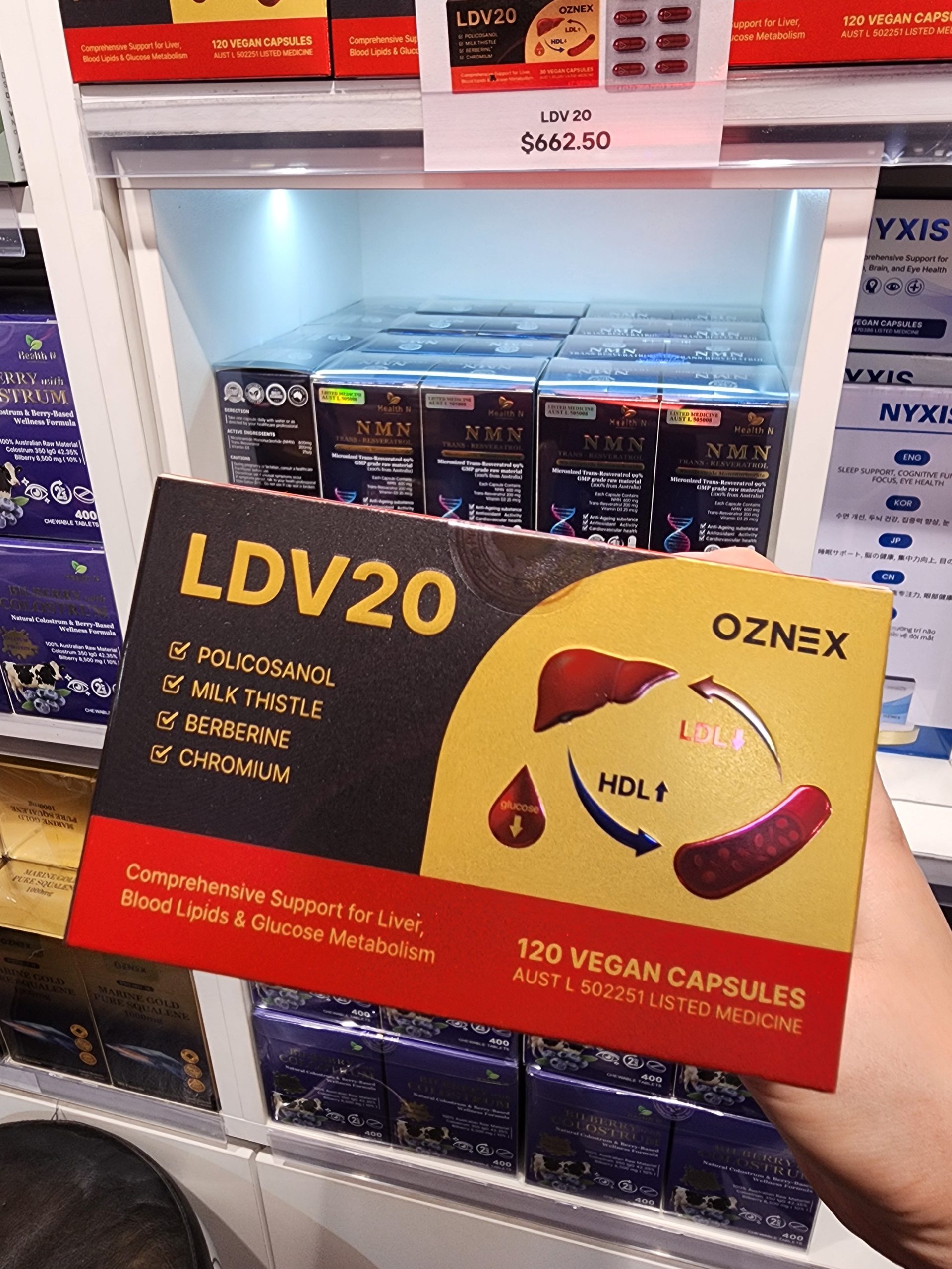 LDV20 부모님 선물